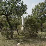 ...l� dove, quasi celata dalla folta vegetazione, spicca la bianca pietra del cippo commemorativo